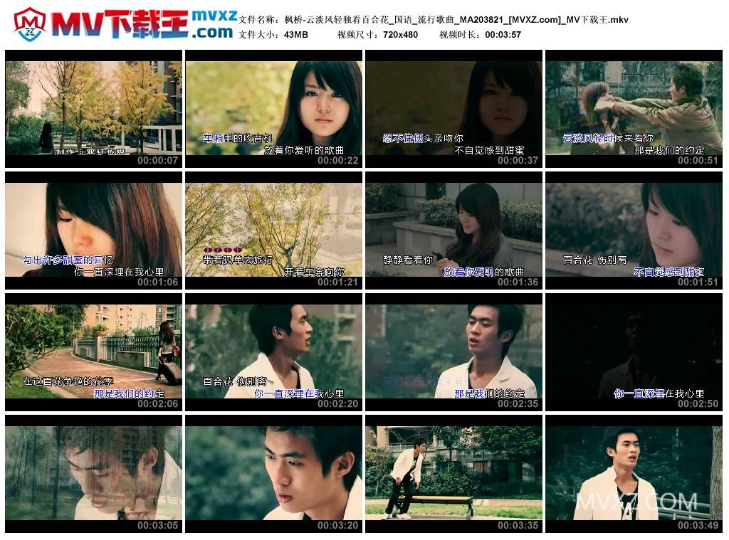 枫桥-云淡风轻独看百合花_国语_流行歌曲_MA203821